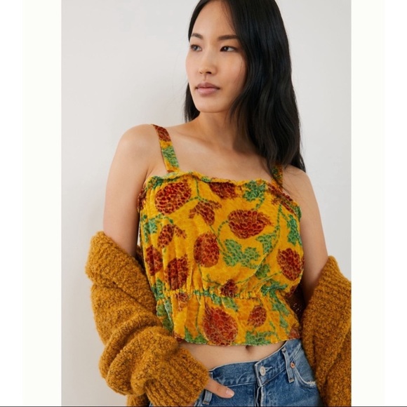 Anthropologie Tops - Anthropologie | NWT! Felipa Cropped Velvet Top